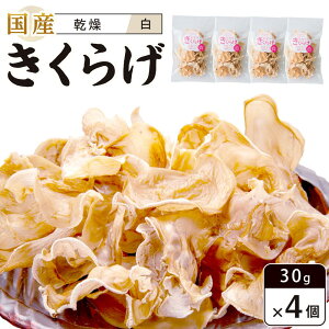 yӂ邳Ɣ[ŁzY 炰  30g×4 (v120gj | 炰 LNQ ؎ H@  N ̂ Y  ؗ