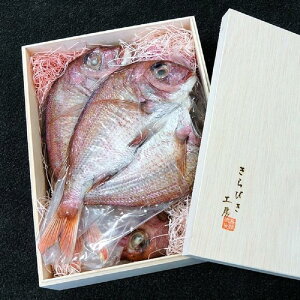 yӂ邳Ɣ[ŁzVR 銱i250g ×3jⓀ |   Mtg  񂹃O ȒP    lC  