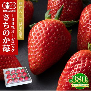 yӂ邳Ɣ[Łz˔荂p Ƃ܃I[KjbN 380gi嗱Ej | _ t[c ʕ  Hi   lC _ Ԍ lC Mtg v[g 