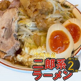 【ふるさと納税】選べる！ボリュームたっぷり 二郎系ラーメン セット 2人前・4人前・6人前 徳島県産 | 二郎系 チャーシュー 人気店 ご当地ラーメン 麺 油そば 送料無料