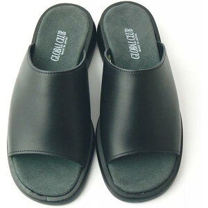 yӂ邳Ɣ[Łz{ JWAT_ Y ubN 1206yTCYIz |  t@bV lC  