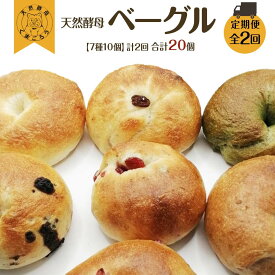 【ふるさと納税】【定期便2回】天然酵母のベーグル (7種類 計10個)×2回 計20個 パン | ベーグル ご家庭用 パン パンセット クロワッサンセット 詰合せ パン詰合せ おかずパン ショコラ 朝ごはん 徳島市 人気 洋菓子 冷凍 冷凍パン ベーカリー おすすめ 送料無料