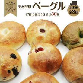 【ふるさと納税】【定期便3回】天然酵母のベーグル (7種類 計10個)×3回 計30個 パン | ベーグル ご家庭用 パン パンセット クロワッサンセット 詰合せ パン詰合せ おかずパン ショコラ 朝ごはん 徳島市 人気 洋菓子 冷凍 冷凍パン ベーカリー おすすめ 送料無料