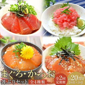 【ふるさと納税】【定期便 全2回】まぐろ・かつお丼ぶりセット　4種10食分×2回　計20個 | マグロ まぐろ 鮪 まぐろたたき 鰹 カツオ ネギトロ ねぎとろ 小分け パック 個装 丼 海鮮 海鮮丼 寿司 軍艦巻き 手巻寿司 食品 人気 おすすめ 送料無料