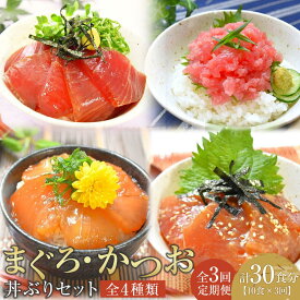 【ふるさと納税】【定期便 全3回】まぐろ・かつお丼ぶりセット　4種10食分×3回　計30個 | マグロ まぐろ 鮪 まぐろたたき 鰹 カツオ ネギトロ ねぎとろ 小分け パック 個装 丼 海鮮 海鮮丼 寿司 軍艦巻き 手巻寿司 食品 人気 おすすめ 送料無料