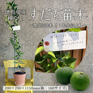 �y�ӂ邳�Ɣ[�Łz���ʌ���I�������Y ��Ȃ��������c�؁i2�N���ȏ�j | �t�����[ �A�� �v�����g �l�C �������� ��������