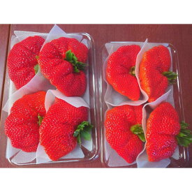 【ふるさと納税】魔法のいちご さちのか (1パック300g以上×2パック) 生産者おまかせ