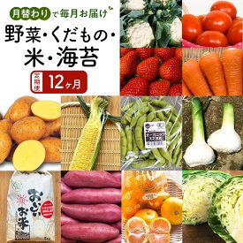 【ふるさと納税】【12ヶ月定期便】野菜 くだもの 米（月替わりで毎月お届け） | 野菜 やさい フルーツ 果物 くだもの お米 こめ 白米 食品 人気 おすすめ 送料無料