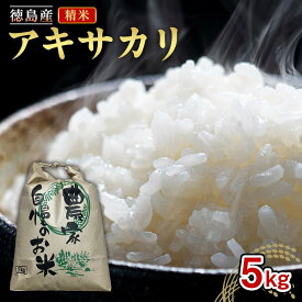 【ふるさと納税】米 アキサカリ 精米 5kg ｜令和7年度産 コメ 白米 お米 ご飯 備蓄 国産 徳島 | お米 こめ 白米 食品 人気 おすすめ 送料無料
