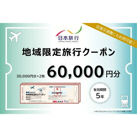【ふるさと納税】徳島県 徳島市 日本旅行 地域限定旅行クーポン60,000円分 | 旅行 宿泊 旅行券 宿泊券 温泉旅館 温泉宿 温泉 観光 旅行 ホテル 旅館 チケット 予約 クーポン トラベル