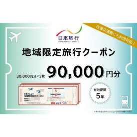 【ふるさと納税】徳島県 徳島市 日本旅行 地域限定旅行クーポン90,000円分 | 旅行 宿泊 旅行券 宿泊券 温泉旅館 温泉宿 温泉 観光 旅行 ホテル 旅館 チケット 予約 クーポン トラベル