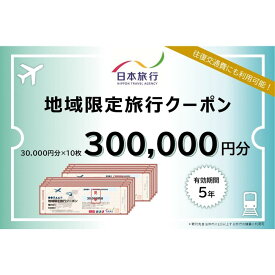 【ふるさと納税】徳島県 徳島市 日本旅行 地域限定旅行クーポン300,000円分 | 旅行 宿泊 旅行券 宿泊券 温泉旅館 温泉宿 温泉 観光 旅行 ホテル 旅館 チケット 予約 クーポン トラベル