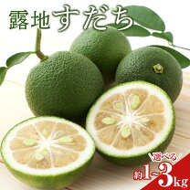 楽天市場】すだち3kgの通販
