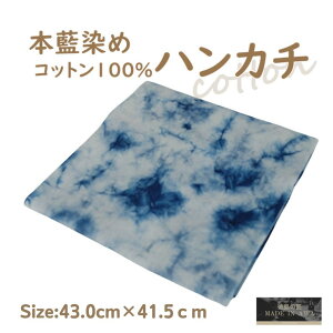 yӂ邳Ɣ[Łz{Rbg100nJ` N߁@yJ[Iz