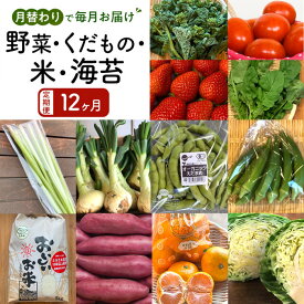 【ふるさと納税】【12ヶ月定期便】野菜 くだもの 米（月替わりで毎月お届け） | 野菜 やさい フルーツ 果物 くだもの お米 こめ 白米 食品 人気 おすすめ 送料無料