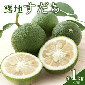 【ふるさと納税】【期間限定】露地すだち約1kg（1箱）