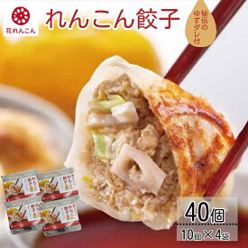 【ふるさと納税】秘伝のゆずダレ付 鳴門れんこん餃子 200g（20g×10個）×4袋 | 花れんこん 蓮根 レンコン 徳島 ハンバーグ レトルト おかず 惣菜 総菜