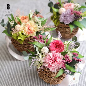 【ふるさと納税】プリザーブドフラワー パルフェ ＜Fine＞ ｜花 ギフト プレゼント アレンジ おしゃれ 母の日 誕生日 結婚祝い 退職祝い お祝い