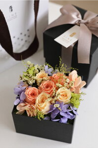 yӂ邳Ɣ[ŁzvU[uht[ i[Y Fine b Mtg v[g AW  ̓ a j ސEj j