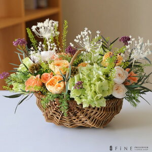 yӂ邳Ɣ[ŁzvU[uht[ t[Fine b Mtg v[g AW  ̓ a j ސEj j