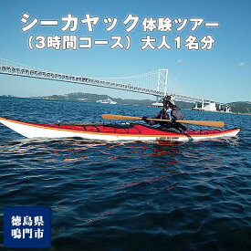 【ふるさと納税】徳島 の海を満喫！ シーカヤック 体験ツアー（3時間コース）大人1名分
