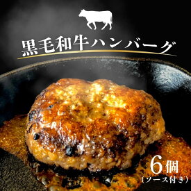 【ふるさと納税】黒毛和牛ハンバーグとソースのセット(6個) ＜NARUTO BASE＞ ｜ 黒毛和牛 牛 ハンバーグ グルメ ギフト 徳島 鳴門