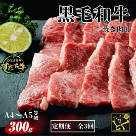 【ふるさと納税】定期便 3回お届け すだち牛黒毛和牛（焼肉用）300g