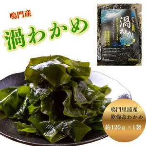 yӂ邳Ɣ[ŁzsYY 킩 120g Mʁ b 킩 Y  Mtg 蕨
