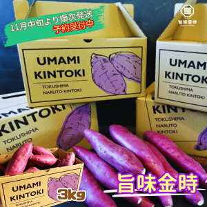 yӂ邳Ɣ[Łzy\tE2025N11{菇z s ÎY | 3kg b  ȂƋ Ă Ĉ Ă  VՂ Yn
