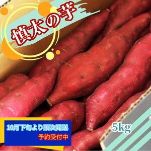 yӂ邳Ɣ[Łzy\tE2025N10{菇zsYY T̈ 5kg b  ȂƋ Ă Ĉ Ă  VՂ Yn