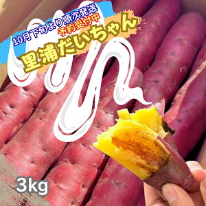 yӂ邳Ɣ[Łzy\tE2025N10{菇z Y ܂ Y 3kg | ȂƋ Â zNzN XC[c Ă  VՂ T_  