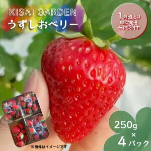 yӂ邳Ɣ[Łzy \tE2026N1菇 zKISAI BERRY 250g×4pbN yʌz | ͔|Ԓ_sgp   C`S gق   ʕ t[c X[W[ W