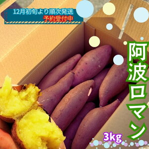 yӂ邳Ɣ[Łzy\tE2025N12{菇z Y ܂ g} 3kg | ȂƋ Â XC[c Ă 