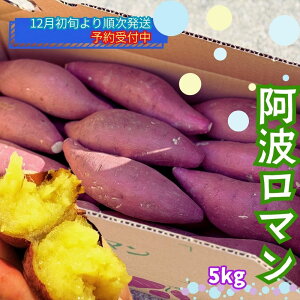 yӂ邳Ɣ[Łzy\tE2025N12{菇z Y ܂ g} 5kg | ȂƋ Â XC[c Ă 