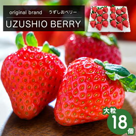 【ふるさと納税】【 予約受付中・2025年12月中旬頃より順次発送 】フルーツガーデンやまがたのいちご「うずしおベリー」約600g 大粒 18個 苺 いちご イチゴ 紅ほっぺ 果物 フルーツ 送料無料 徳島 鳴門 農家直送 ギフト 甘い 旬 数量限定