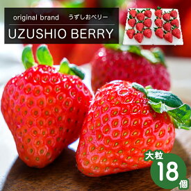 【ふるさと納税】フルーツガーデンやまがたのいちご「うずしおベリー」約600g 大粒 18個 苺 いちご イチゴ 紅ほっぺ 果物 フルーツ 送料無料 徳島 鳴門 農家直送 ギフト 甘い 旬 数量限定