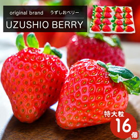 【ふるさと納税】【 予約受付中・2025年12月中旬頃より順次発送 】 フルーツガーデンやまがたのいちご「うずしおベリー」約750g 特大粒 16個 苺 いちご イチゴ 紅ほっぺ 果物 フルーツ 送料無料 徳島 鳴門 農家直送 ギフト 甘い 旬 数量限定