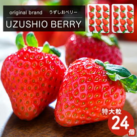 【ふるさと納税】【 予約受付中・2025年12月中旬頃より順次発送 】フルーツガーデンやまがたのいちご「うずしおベリー」約900g 特大粒24個 苺 いちご イチゴ 紅ほっぺ 果物 フルーツ 送料無料 徳島 鳴門 農家直送 ギフト 甘い 旬 数量限定
