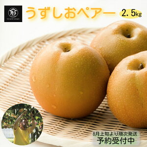 yӂ邳Ɣ[Łz y \tE2025N8{菇 z{̕i͂IyA[ 2.5kg Y a K L V Y  t[cK[f܂