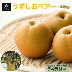yӂ邳Ɣ[Łzy \tE2025N8{菇 z{̕i͂IyA[ 4.5kg yʌz Y a K L V Y  t[cK[f܂
