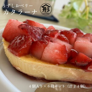 yӂ邳Ɣ[Łz J^[i 6Zbg 24  XC[c x[ t[cK[f܂ XC[c  fU[gⓀ   蕨 v[ a ̓ o
