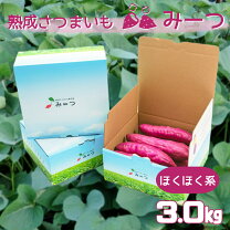 サツマイモ 箱詰めの通販