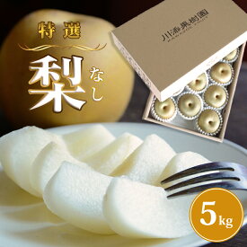 【ふるさと納税】【予約受付中・2026年8月上旬頃より順次発送】 旬の品種をお届け！ 川添果樹園の特選 梨 約5kg 徳島県産 和梨 幸水 豊水 南水 秋月 国産 鳴門
