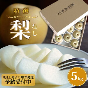 yӂ邳Ɣ[Łz y\tE8{菇z{̕i͂I Yʎ̓I  5kg Y a K L 쐅 H V Y 