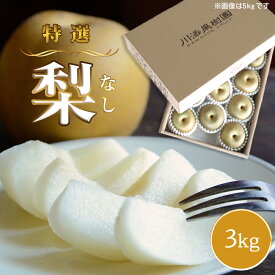 【ふるさと納税】 【予約受付中・2026年8月上旬頃より順次発送】旬の品種をお届け！ 川添果樹園の特選 梨 約3kg 徳島県産 和梨 幸水 豊水 南水 秋月 国産 鳴門