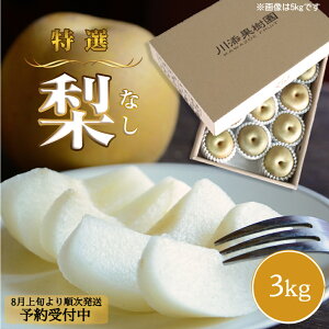 yӂ邳Ɣ[Łz y\tE8{菇z{̕i͂I Yʎ̓I  3kg Y a K L 쐅 H V Y 