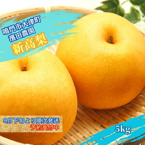 yӂ邳Ɣ[Łz_c_ V 5kg yʌzy9{菇\tz Y ̉l a L K Y 