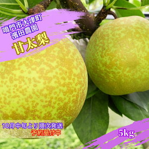 yӂ邳Ɣ[Łz_c_ Ñ 5kg yʌzy10{菇\tz Y ̊Â a L K Y 