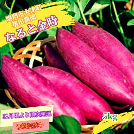 【ふるさと納税】 【予約受付中・2025年12月頃より順次発送】＜ 訳あり ・ 不揃い ＞ 濱田農園 なると金時 サイズ混合 約5kg 【 数量限定 】 ｜ 鳴門金時 甘い ホクホク 国産 鳴門 産地直送 スイーツ おやつ 焼き芋 焼芋 焼きいも 天ぷら 干し芋 スイートポテト 離乳食