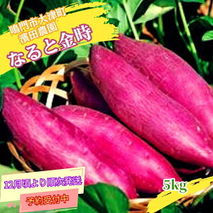 【ふるさと納税】 【予約受付中・2025年12月頃より順次発送】< 訳あり ・ 不揃い > 濱田農園 なると金時 サイズ混合 約5kg 【 数量限定 】 | 鳴門金時 甘い ホクホク 国産 鳴門 産地直送 ス